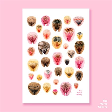 pretty vagina|The Vulva Gallery 